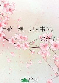 曇花一現,只為韋陀。