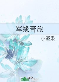 《军缘奇旅》